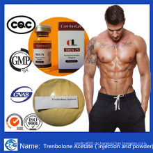 Tren Ace Steroide Pulver Trenbolon Acetat für Muskelverstärkung